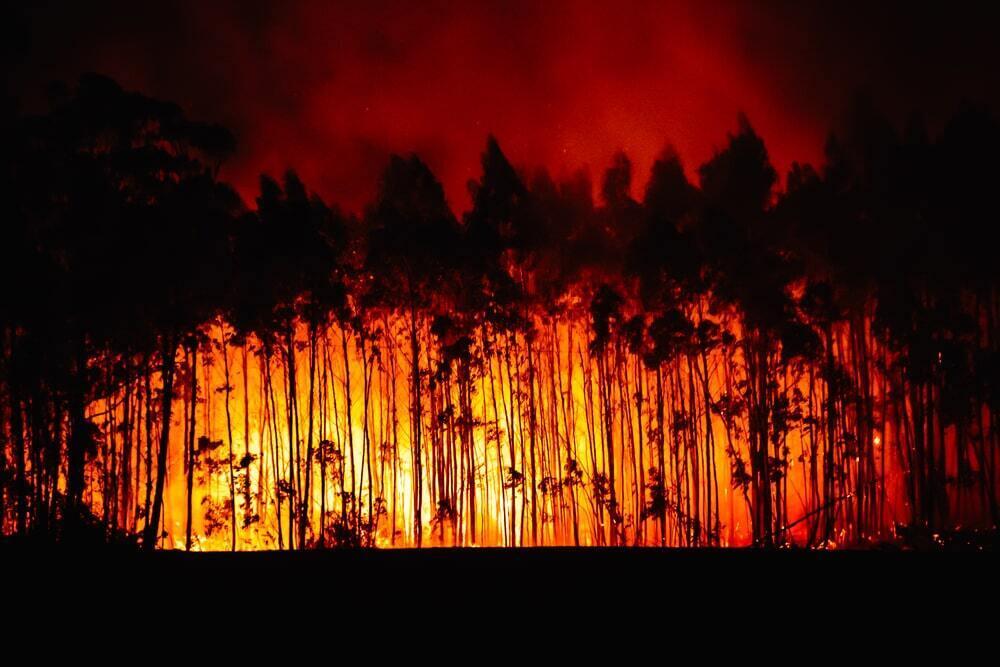 Wildfires are raging in Texas