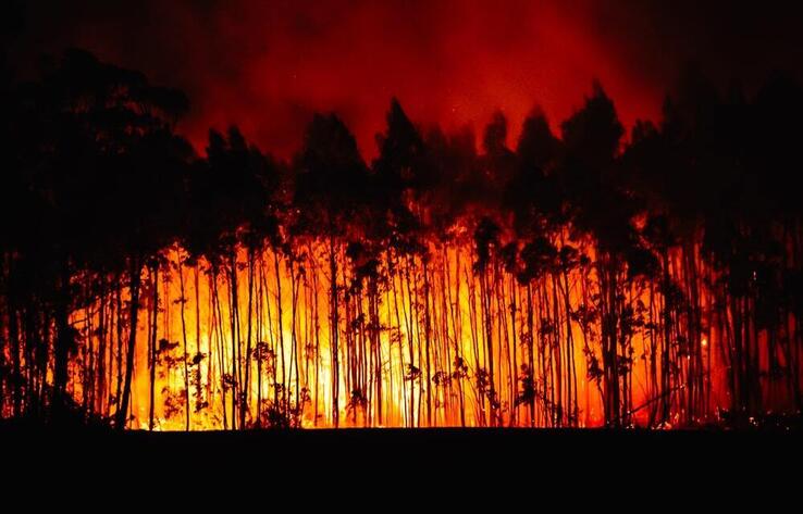 Wildfires are raging in Texas