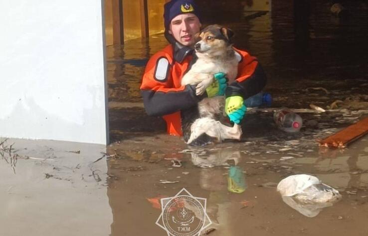В пяти областях Казахстана остаются подтопленными более пяти тысяч домов