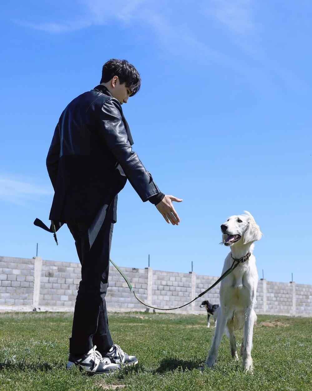 Dimash Kudaibergen shows tazy dog presented to him by President Tokayev. Images | instagram/kudaibergenov.dimash