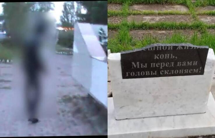 Ақмола облысында полицейлер вандализм жасаған күдіктіні анықтады
 