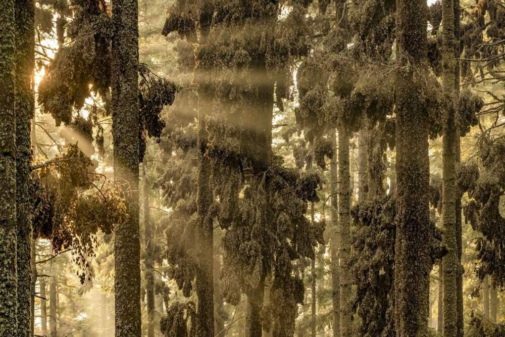 Live Frame: Nature's Best Photography. Images | BigPicture Photography: Natural World Photography/Jaime Rojo