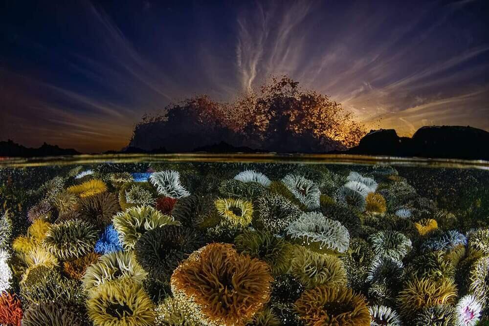 Live Frame: Nature's Best Photography. Images | BigPicture Photography: Natural World Photography/Geo Cloete