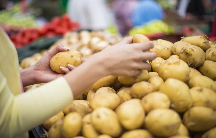 В Казахстане торговые сети готовы закупить картофель напрямую у фермеров