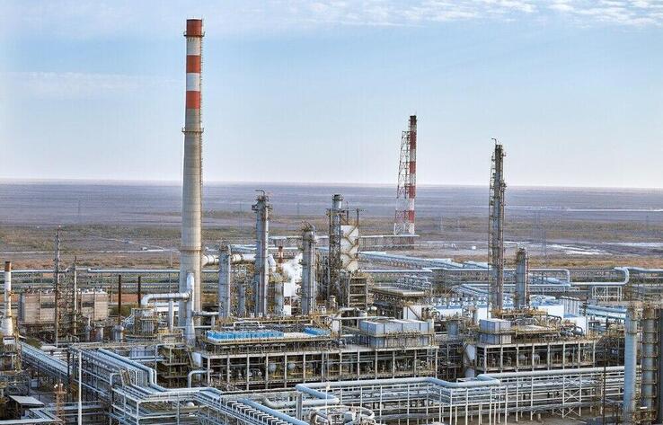 Долю в двух нефтеперерабатывающих заводах Казахстана могут предложить иностранным инвесторам 