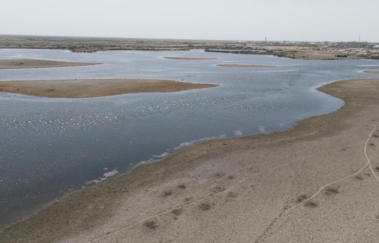 В Созакский район Туркестанской области поступило более 1,3 млрд кубометров воды

