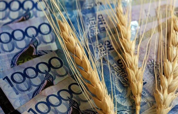 Новые рынки для экспорта пшеницы открыл Казахстан