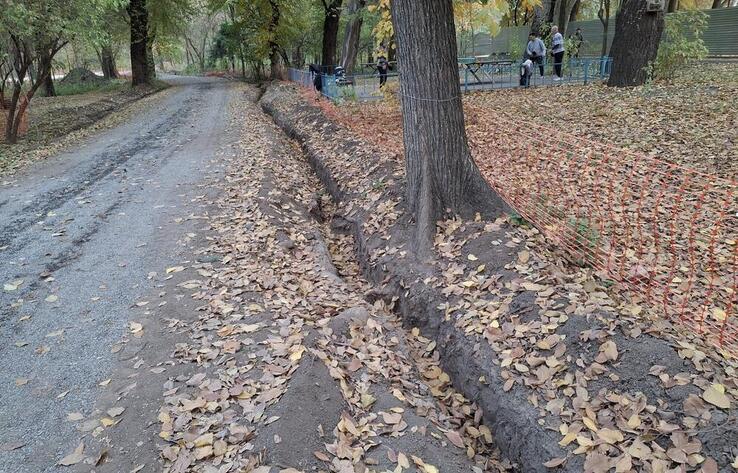 Это не площадка для урбанистических экспериментов: активисты потребовали остановить строительные работы в роще Баума

