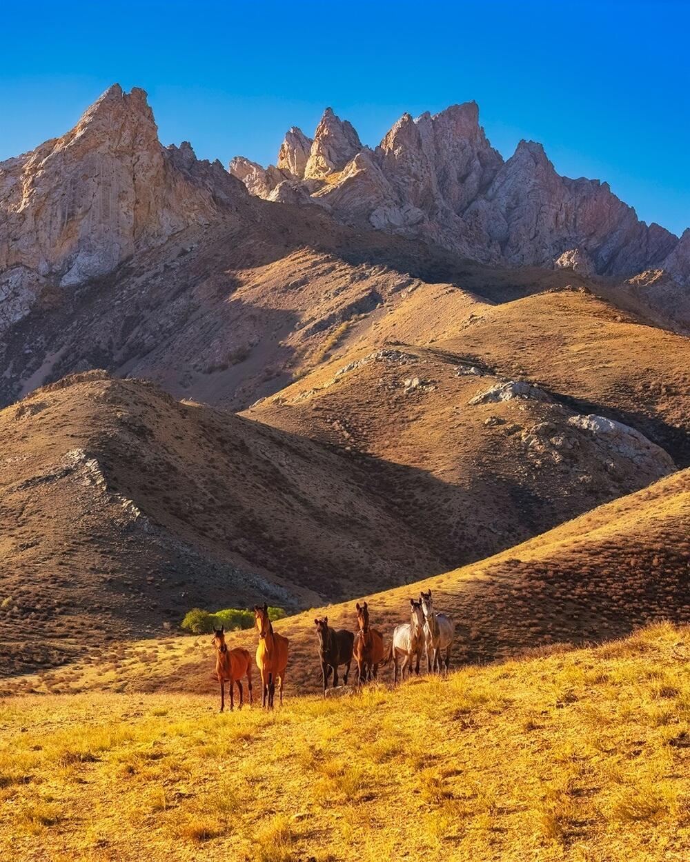 Photographer showed Kelinshektau: mountains that look like another universe. Images | dots_foto/instagram