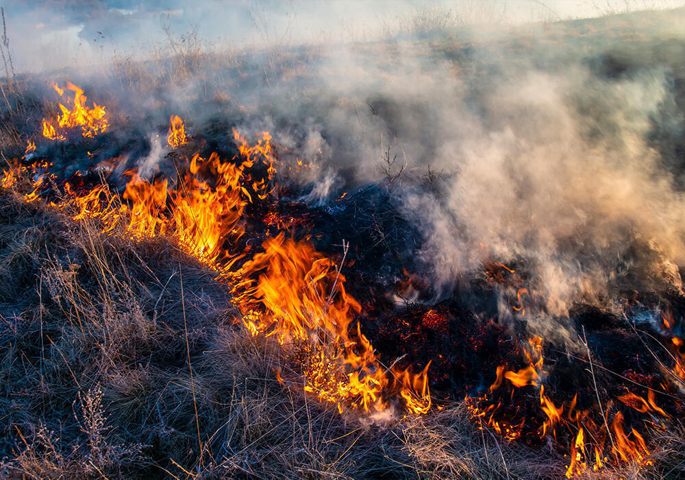 Wildfires have destroyed over 130 buildings in southeastern Australia
