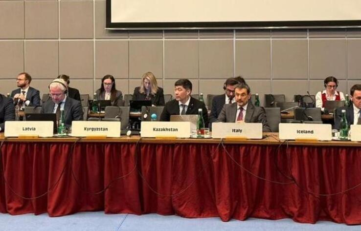 Предстоящие конституционные реформы в Казахстане представлены в ОБСЕ