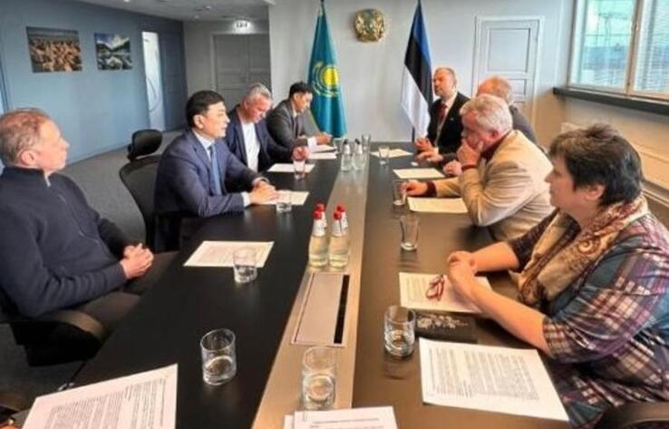 Таллинде алдағы Республикалық референдум талқыланды