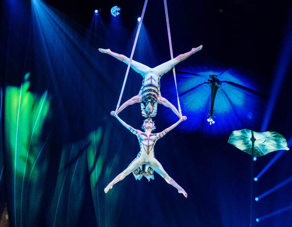 Легендарный Cirque du Soleil представит шоу OVO в Астане и Алматы. Фото: Фридом Финанс