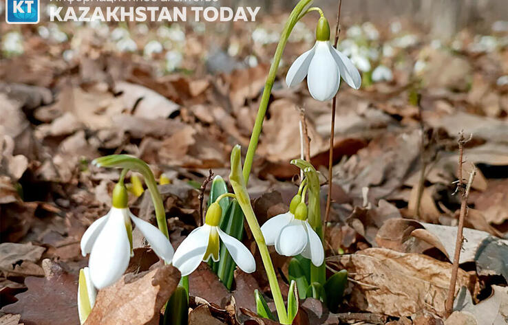 Vast anticyclone brings dry skies to much of Kazakhstan