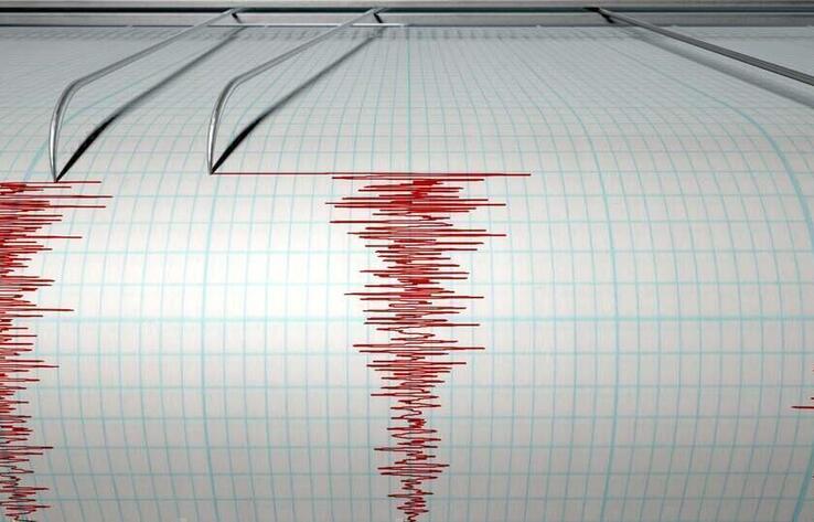 Quake jolts near Zharkent town in Zhetysu region