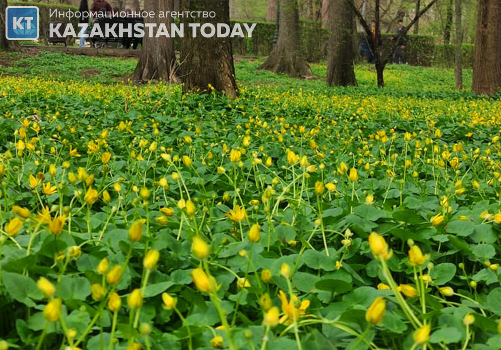 Kazakhstan weather forecast for May 17