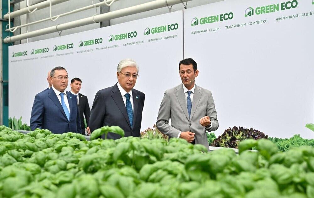 Мемлекет басшысы GREEN ЕСО жылыжай кешенімен танысты