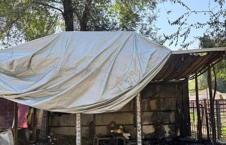 Fire Breaks Out on the Grounds of Almaty Zoo